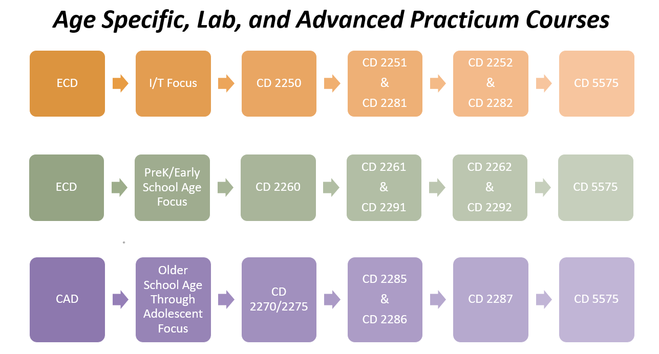 Observation, Lab, and Advanced Practicum Courses Child Development